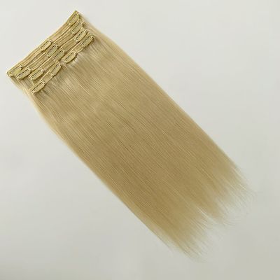 クリップイン ヘア エクステンション 人髪の毛 シルキー ストレート プリボンド 初期支払い