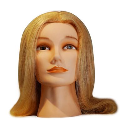 ヨーロッパの顔 練習 人形の頭 逆向きの髪と人間の髪
