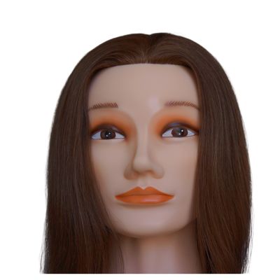 ヨーロッパの顔 練習 人形の頭 逆向きの髪と人間の髪